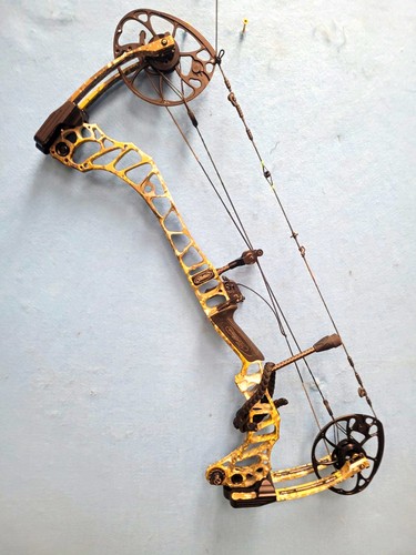 Mathews vertix compound bow - compound,